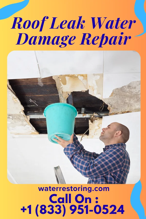 Roof Leak Water Damage Repair in Watford City, ND